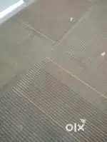 Needed room mate