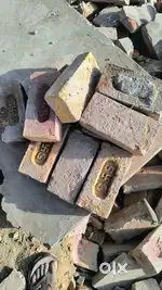 Local Sri ganganagar