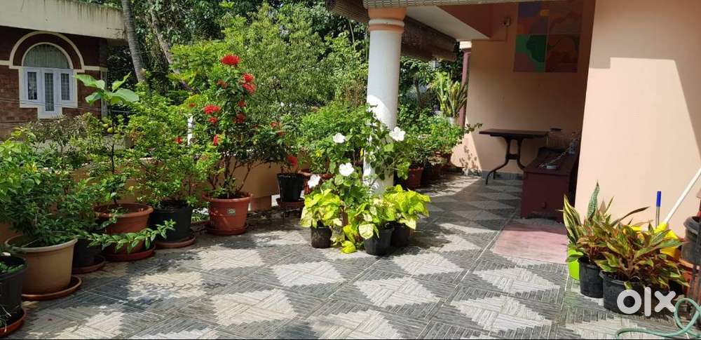 2 b/room house for rent in Asramammm