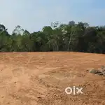 Land for sale in Mulanthuruthy at Pulikkamaly
