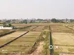 Rajgir palace near Nalanda University&cricket stadium