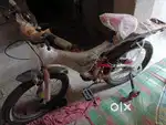 Age 9 years Baby cycle New 15 days Old