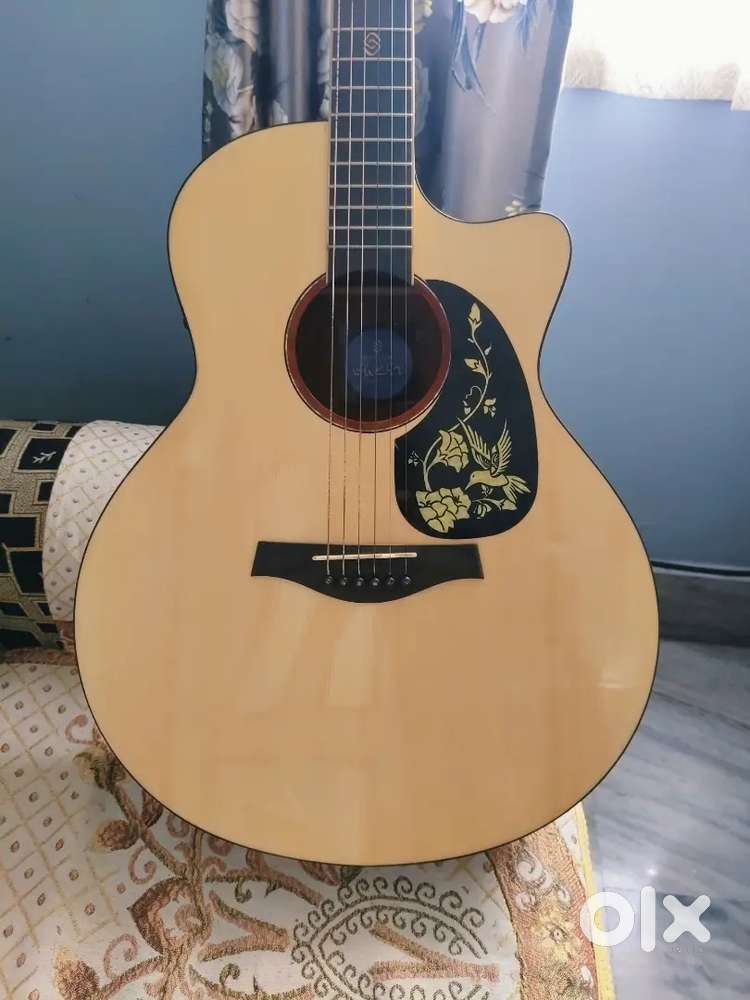 Strydom acoustic guitar