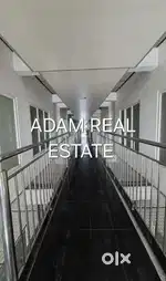 3bhk flat rent aluva thottakkattukara near kadungalloor