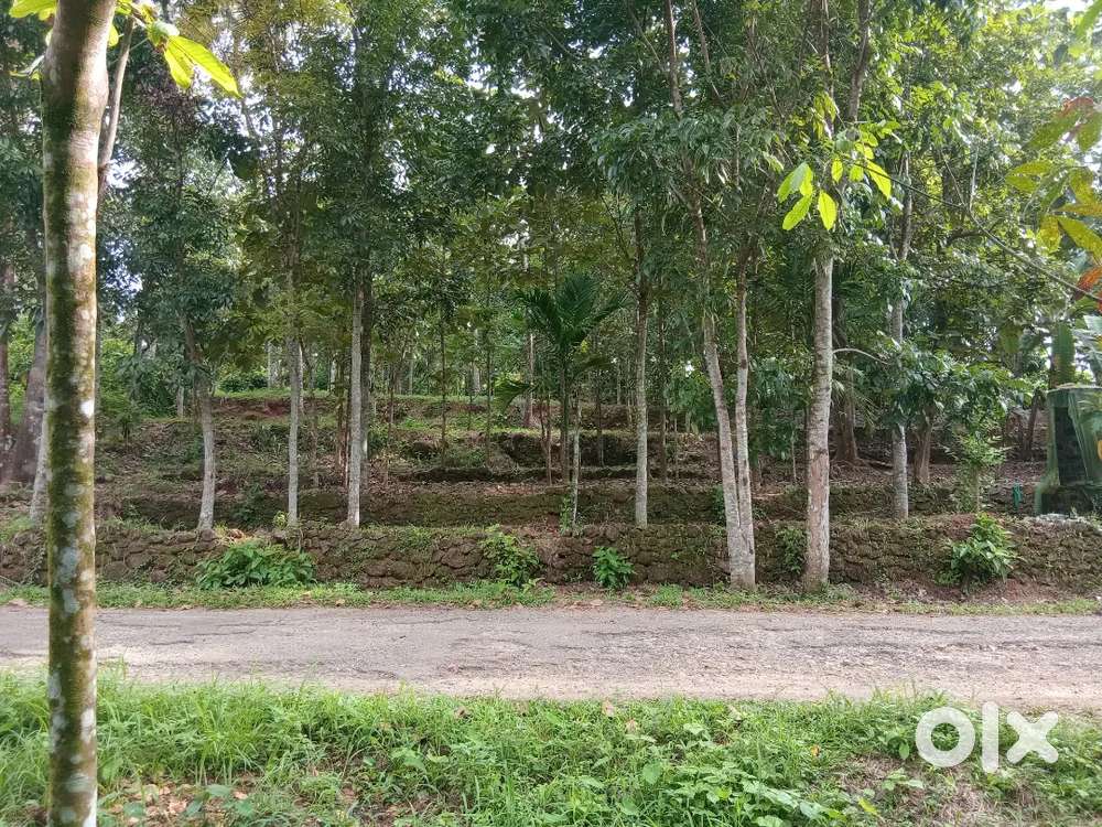 House plot