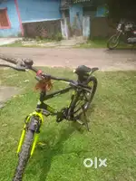 Racing cycle