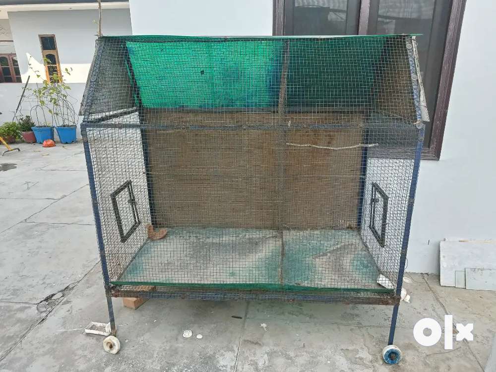 Bird cage for sale