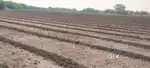 agriculture land