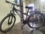 Frog bicycle 29 inch