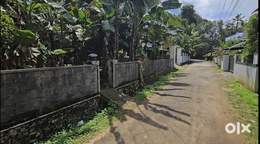 Angamaly karukutty koratty 34 cent house plot for sale immediately