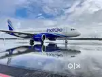 Urgent hiring for male,female Both candidates Apply in Indigo Airlines