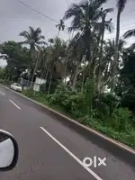 Plot for sale in (chowannur)