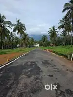 Premium plots for sale in Mannarkkad, Palakkad