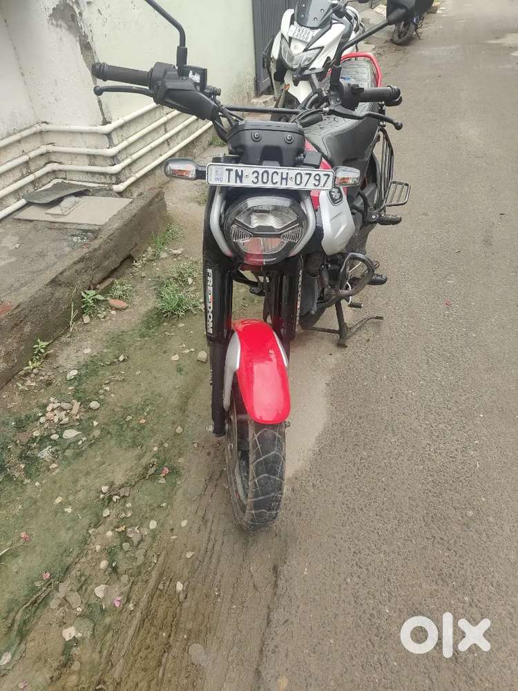 Bajaj freedom 2024 CNG