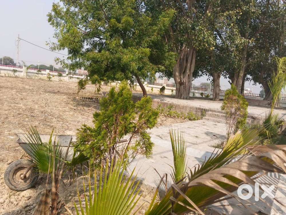 Residential and commercial plot available