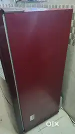Fridge,cooler, cycle kids and Adults