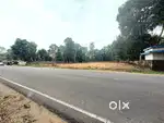 50 CENT COMMERCIAL LAND FOR SALE IN ALUVA PARAVUR ROUTE MAIN ROAD