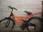 Cycle Hippo company