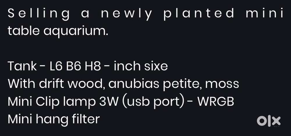 Planted table aquarium