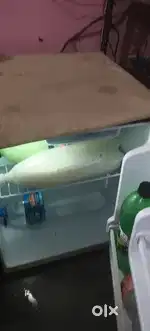 Mini fridge