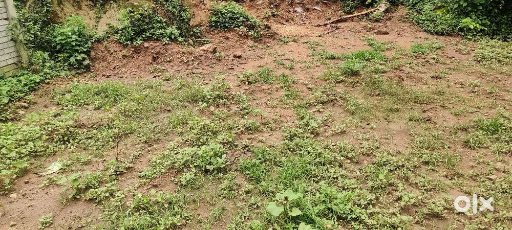 Site for sale