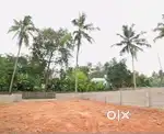 4, 5 cents near NH Chemapakamanglam 300 meters feom main road