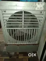 Cooler haii