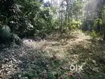 സ്ഥലം വില്പനയ്ക്ക്