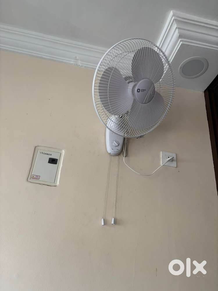 Wall mount fans