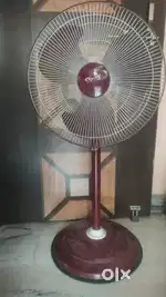 Stand Fan.