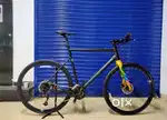 Bergamont Sweep | Frame Size: L