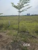 1210 SQ.YARDS PLOT FOR SALE AT SHAMSHABAD