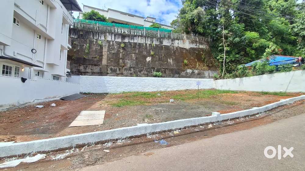 8 cent ,4 cent Plot For Sale Kakkanad, Edachira,Near Infopark