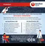 Banking Sales