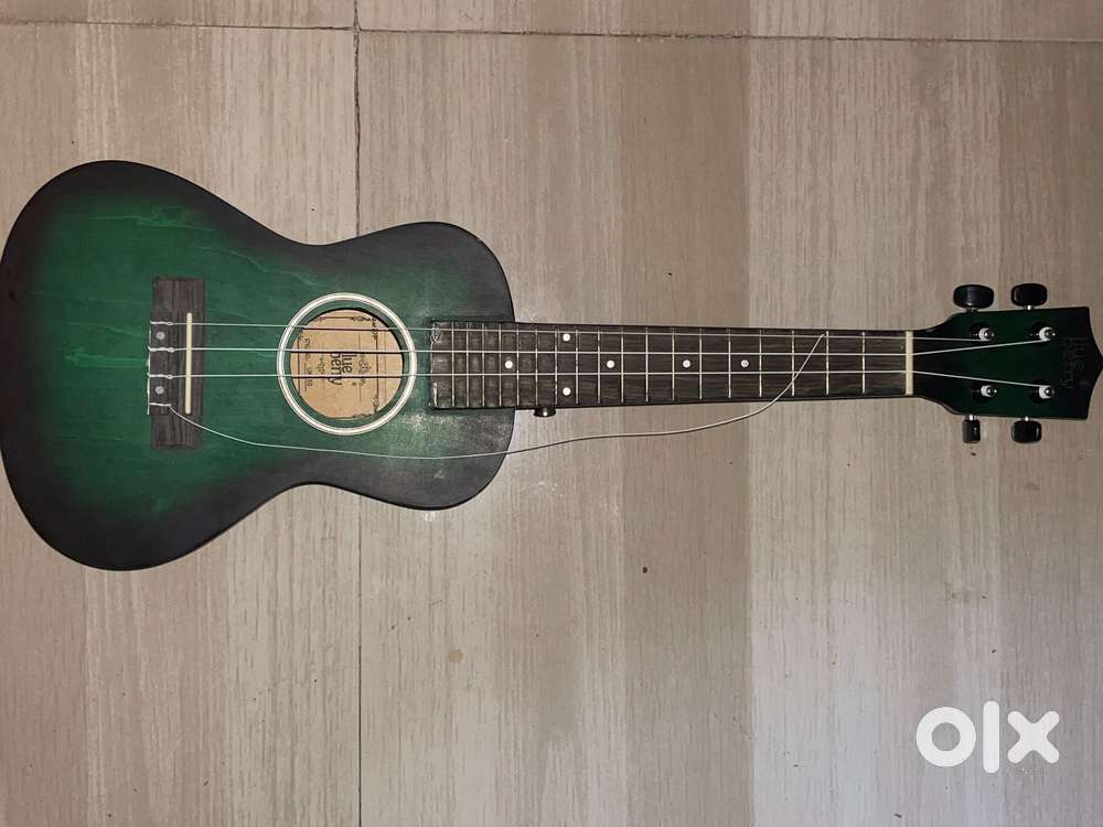 blueberry ukulele with bag