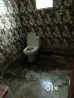 PG available for 2-3 persons