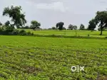 Shirala bhag 2