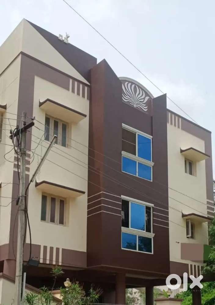 House Painting, Budget Painting, Premium Painting, Luxury Painting