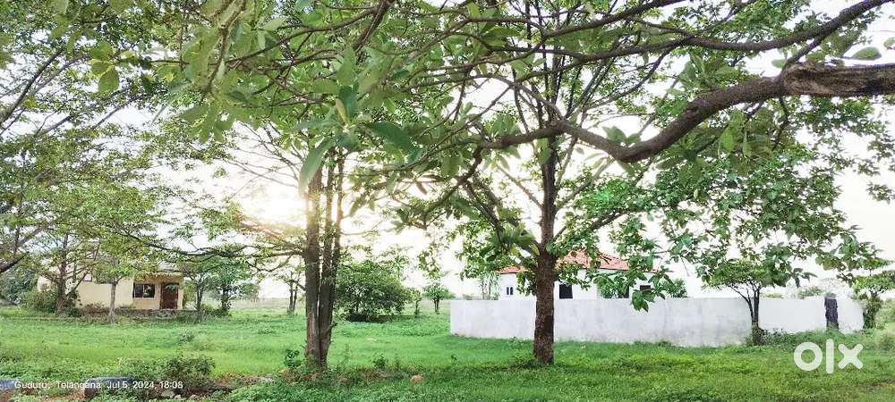 Open plots near Shamshabad