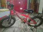 Cycle is kid