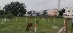 PRIME LOCATION OPEN PLOT FOR SALE
प्लॉट विकणे आहे