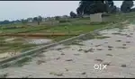 Plot le Bakshi ka Talab Lucknow