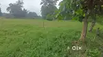 Best for farmhouse plot at mundajhor