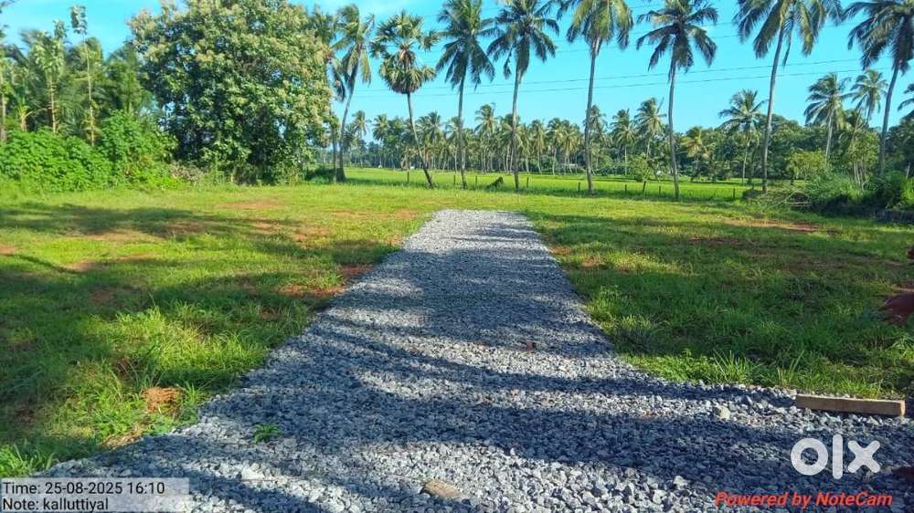 Gorgeous view of house plots for sale at Kalluttiyal