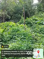 കറുകച്ചാൽ nss junction 1 klmtr palamatom road