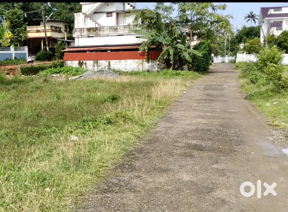 ALUVA THATTAMPADY HOUSE PLOTS