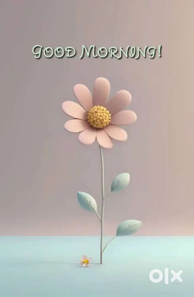 Need girl for office work computer knowledge