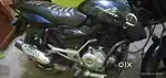Pulsar bick