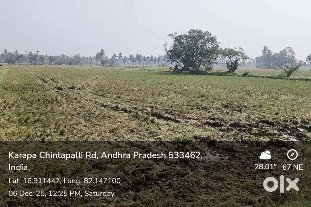 అగ్రికల్చర్ ల్యాండ్ ఫర్ సేల్