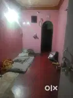 Only for bechaler Shearing patnar